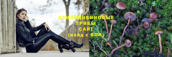 прущий лед Белоозёрский